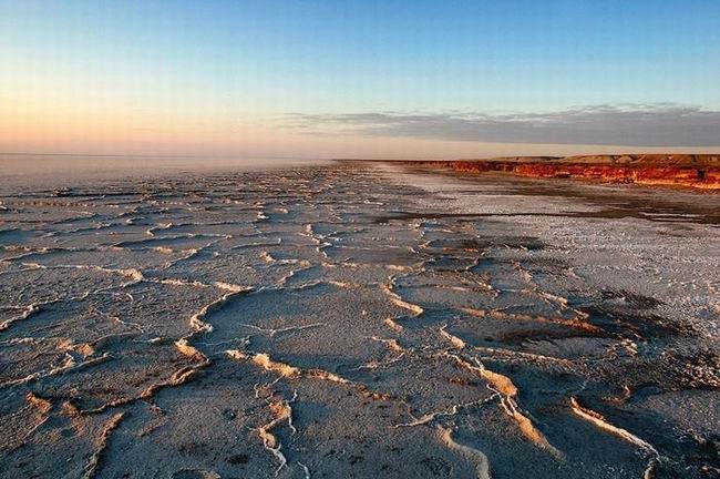 Aral1.jpg